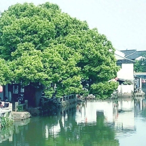 中国十三大必去名镇，90%的人打卡不到5处！