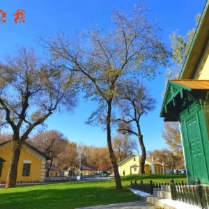 哈尔滨这处打卡地美成了油画