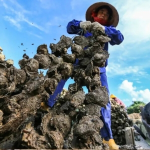 这个秋天，来深度感受桂气养人！广西这10条秋季最值得打卡的线路，闭眼冲！(2) ... .. ...