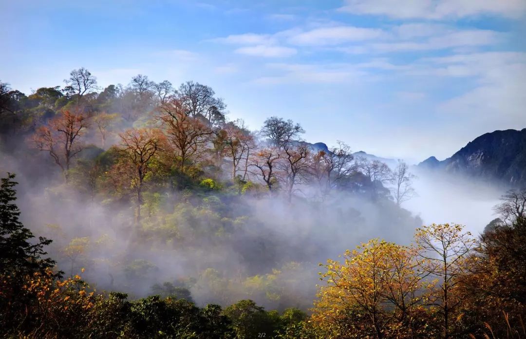 这个秋天，来深度感受桂气养人！广西这10条秋季最值得打卡的线路，闭眼冲！(5) ... ...