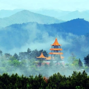 百色40+景区向“老铁”推出优惠！6条秋冬精品旅游线路等你来玩(2) ... ...